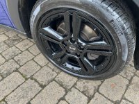 MINI PACEMAN
