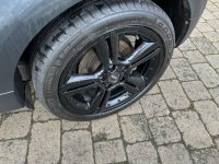 MINI PACEMAN